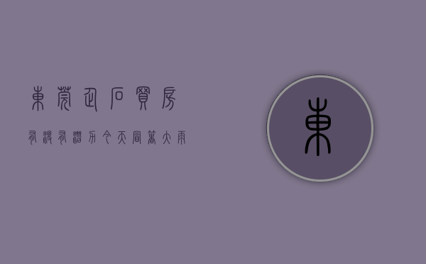 东莞企石买房有没有潜力（今天冒着大雨陪堂哥去看东莞企石首付5万房子两房才总价20来万）