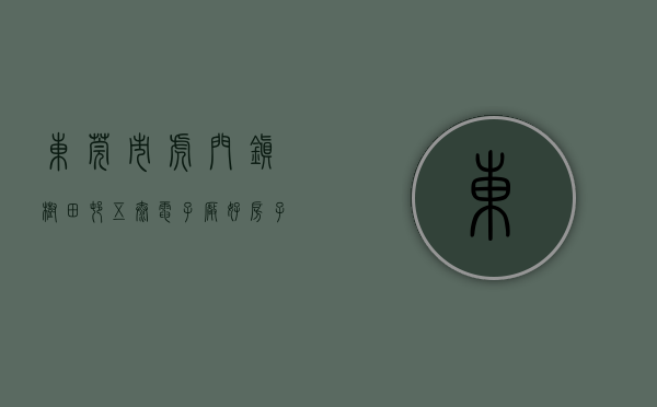 东莞市虎门镇树田村五泰电子厂（好房子推荐!虎门树田精装小产权房楼盘-村委统建楼）