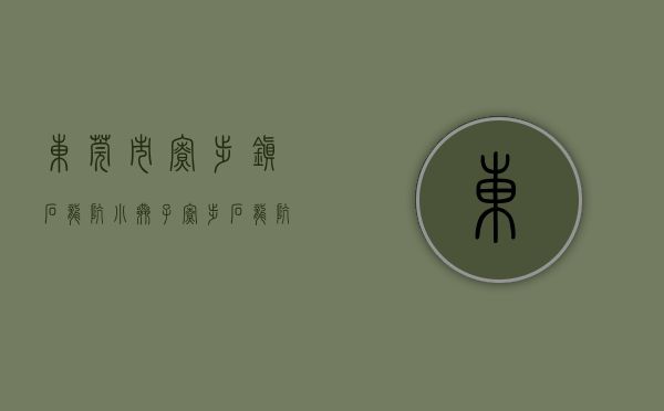 东莞市寮步镇石龙坑小巷子（寮步石龙坑小产权房（寮步花园）三房四房出售特价4688元起 首付4成分期5年）