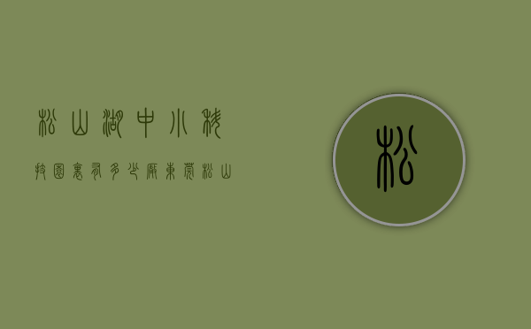松山湖中小科技园里有多少厂（东莞松山湖小产权「中科创新广场」地铁口）