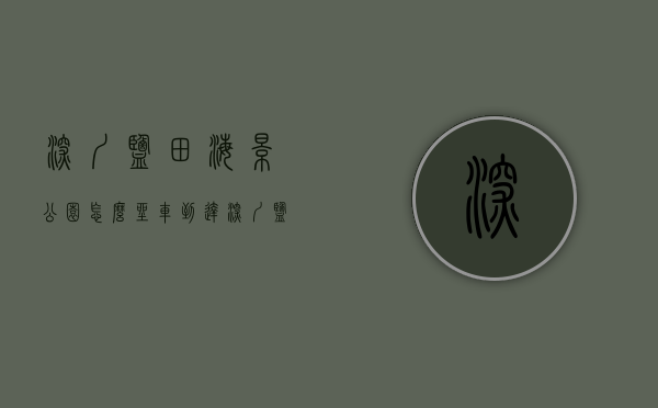 深圳盐田海景公园怎么坐车到达（深圳盐田区“云海专线”开通，可直达小三洲浪漫樱花林）