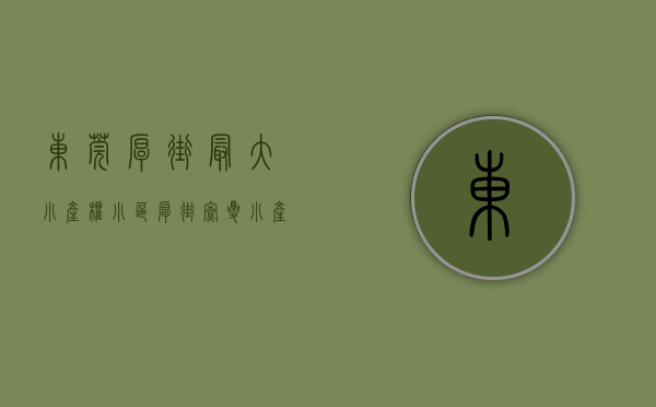 东莞厚街最大小产权小区（厚街寮夏小产权 城市中央 大型花园小区带地下车库）