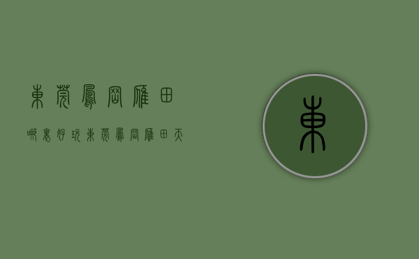 东莞凤岗雁田哪里好玩（东莞凤岗雁田「天安大厦」大三房80万一套 龙岗平湖附近小产权房）