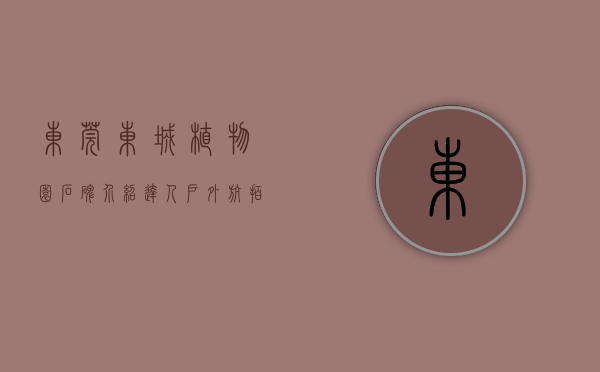 东莞东城植物园石碑介绍（达人户外航拍东莞南城植物园绿色世界360度全景）
