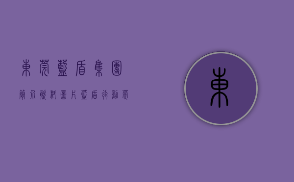 东莞蓝盾集团简介资料图片（蓝盾行动 莞消护安｜东城消防：三位一体筑牢消防安全防线）