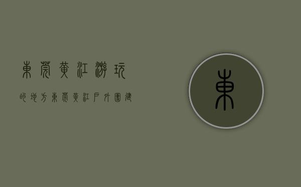 东莞黄江游玩的地方（东莞黄江户外团建拓展场地推荐小编让你不踩雷）