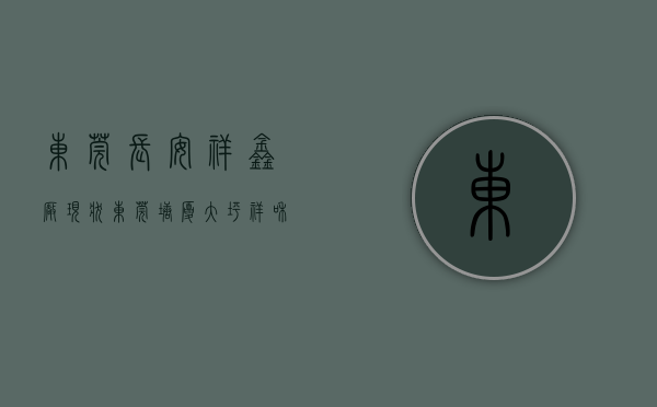 东莞长安祥鑫厂现状（东莞塘厦大坪《祥和花园》小产权房开盘了 一期3栋 均价5180元起）