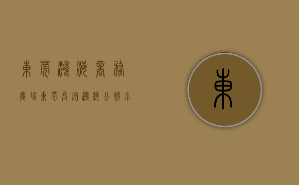 东莞鸿海商务广场（东莞长安鸿海公馆小产权房两梯六户出售）(东莞鸿海集团是做什么的?)