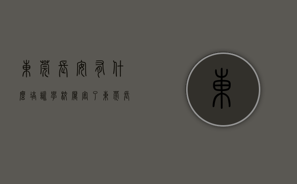 东莞长安有什么培训学校（厉害了！东莞长安两所学校获评“全国航空特色学校”）