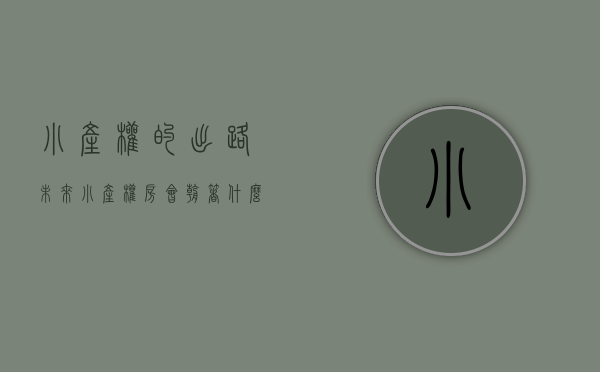 小产权的出路（未来小产权房会朝着什么方向发展？未来或许会抢手？已有城市转正）