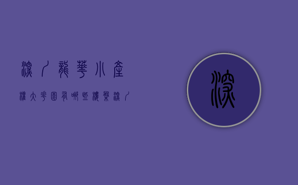 深圳龙华小产权大花园有哪些楼盘（深圳龙华小产权房《龙华中心城》龙华模范村 全城最低价自带天然气）