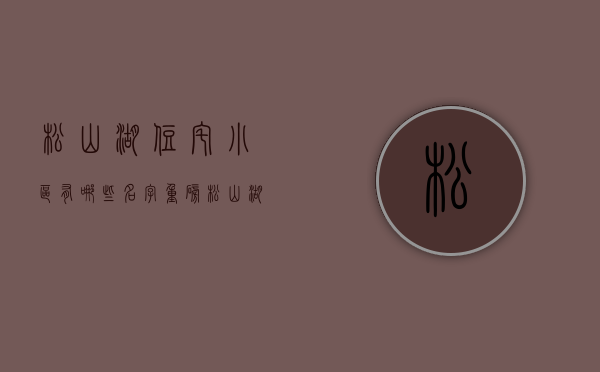 松山湖住宅小区有哪些名字（重磅!松山湖功能区加速推进重大项目建设!小产权房也将迎来新一波大涨!）