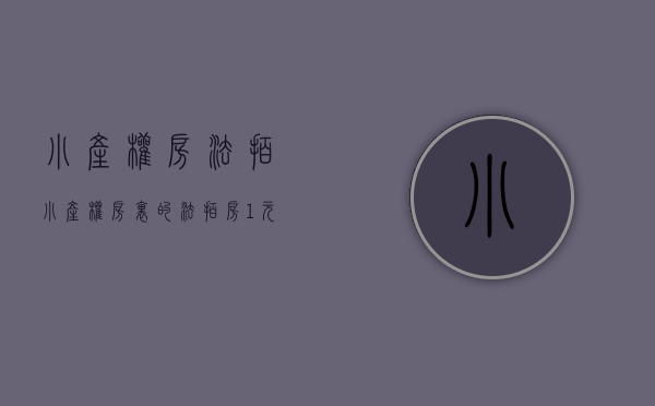小产权房法拍（小产权房里的法拍房：“1元起拍”存风险 捡漏者须防猫腻）