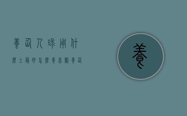 养仙人球用什么土最好怎么养（喜欢养仙人球，现在就购买，夏天买容易化水，仙人球也不好养）