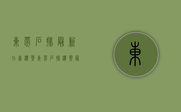 东莞石排最新在售楼盘(东莞石排最新在售楼盘有哪些)