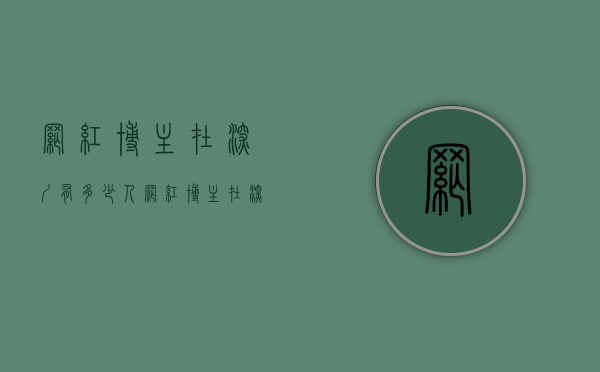 网红博主在深圳有多少人（网红博主在深圳遗失手机，不到3小时找回）(深圳的网红人)