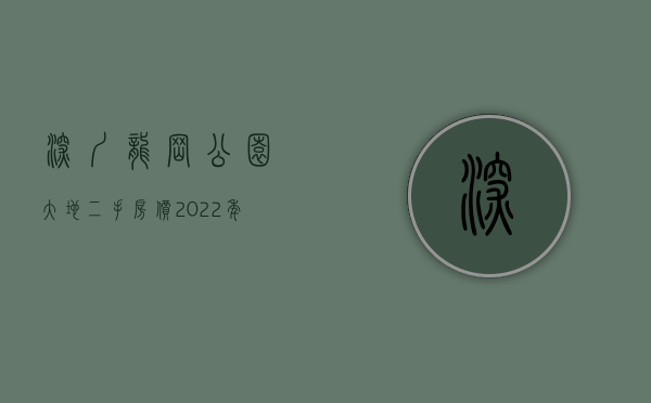 深圳龙岗公园大地二手房价（2022年深圳小产权房新盘龙华中心区公园大地 05户型）