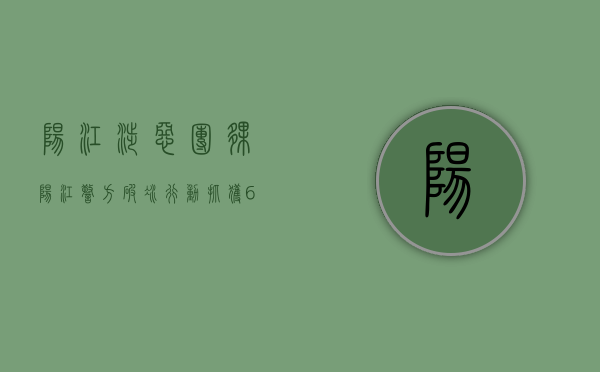 阳江涉恶团伙（阳江警方“破冰”行动！抓获67人）(阳江黑恶势力事件)