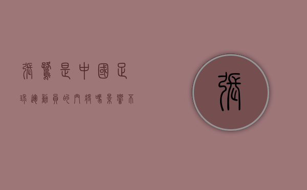 张鹭是中国足球运动员的门将吗（影响不小！前国脚张鹭被带走调查后：深圳队遭遇中超3连败！）