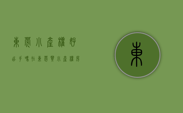东莞小产权好出手吗（在东莞买小产权房会不会被骗，买这些房需要注意些什么？）