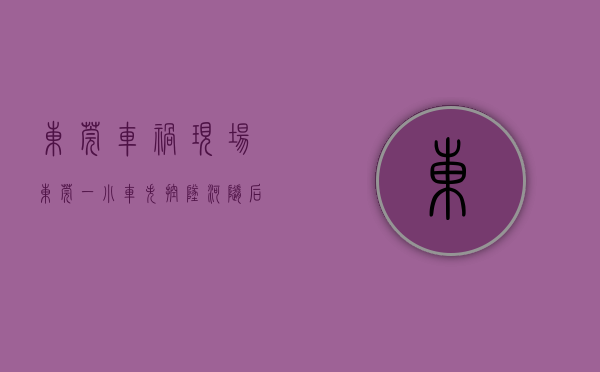 东莞车祸现场（东莞一小车失控坠河，随后发生了这一幕！）(东莞车祸事故)
