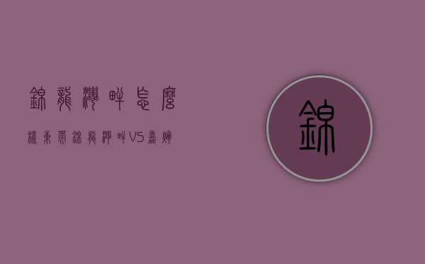 锦龙湾畔怎么样（东莞锦龙湾畔 VS 嘉辉豪庭·森镇谁是你的菜）