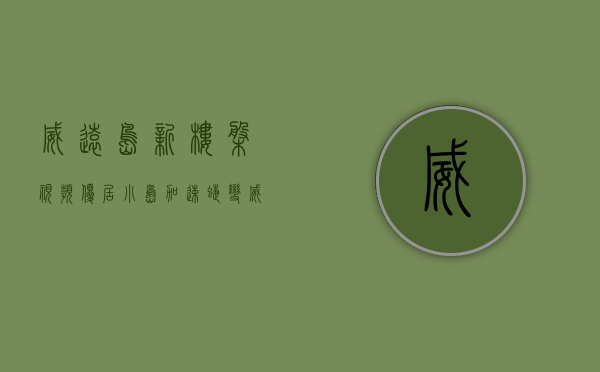 威远岛新楼盘（视频｜优居小岛加速蝶变！威远岛安置小区（一期）开建）(威远岛规划 住宅)