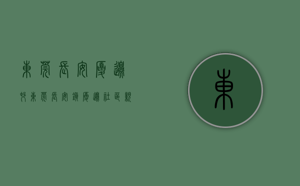 东莞长安厦边村（东莞长安镇厦边社区：亲子同绘百米画卷献礼建党百年）
