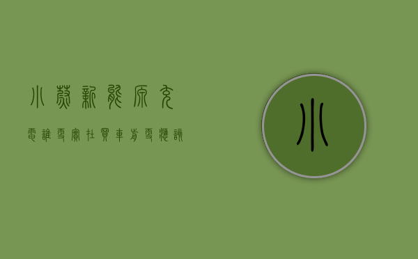 小蔚新能源（充电，谁更实在？买车前更应该看看“蔚小哪”的补能大作战）