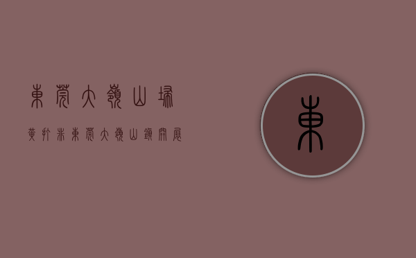 东莞大岭山扫黄打非（东莞大岭山镇开展“迎新春全城大清洁”活动）(东莞大岭山诈骗最新消息新闻)