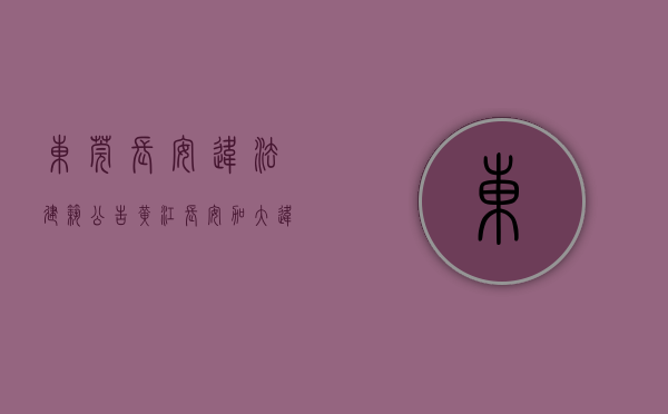 东莞长安违法建筑公告（黄江、长安加大违法建筑打击力度 努力实现“严控新增、逐步减少”的目标）