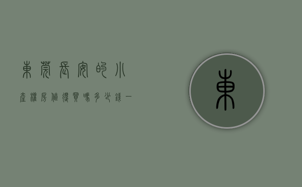 东莞长安的小产权房值得买吗多少钱（东莞长安镇的小产权房可以买吗？）