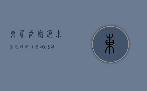 东莞长安镇小学有哪些小区（2023年东莞市长安镇学雷锋全民志愿服务行动月系列活动启动）