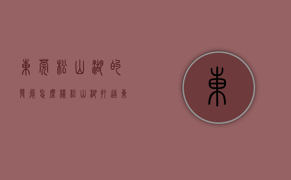 东莞松山湖的发展怎么样（松山湖：打造东莞高质量发展核心引擎）(松山湖 发展)