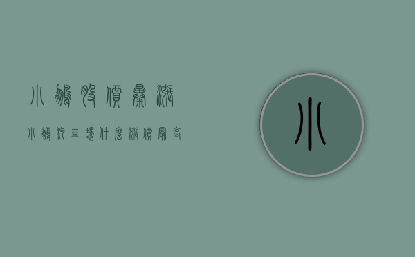 小鹏股价暴涨（小鹏汽车凭什么涨价？最高涨了5900元！）(小鹏汽车股票涨了多少倍)