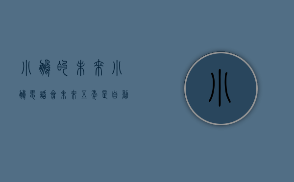 小鹏的未来（小鹏电话会：未来五年是自动驾驶的黄金五年 小鹏自动驾驶将不再依赖高精地图）