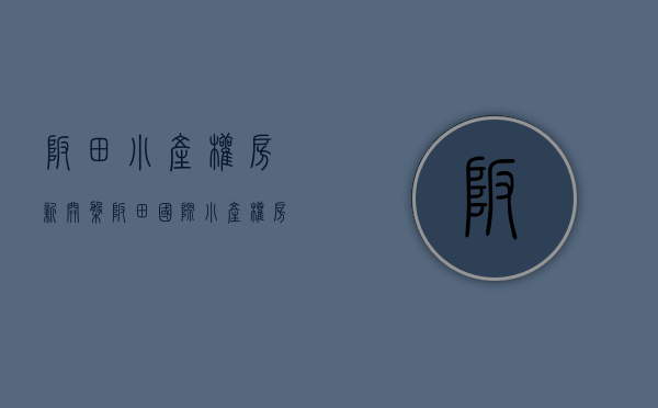 坂田小产权房 新开盘（“坂田国际”小产权房公开叫卖）