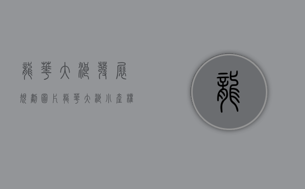龙华大浪发展规划图片（龙华大浪小产权房【龙兴雅苑】6号线大浪地铁口  单间208万套起）
