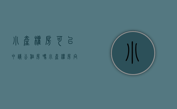 小产权房可以申请公租房吗（小产权房向公租房转化的可行性与对策研究）