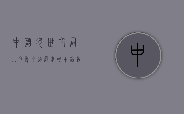 中国的世界最小的鸟（中国最小的两种鸟现身崀山）(中国最小的鸟是什么鸟图片)