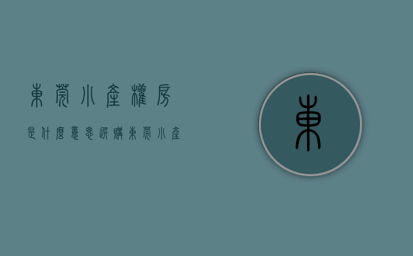 东莞小产权房是什么意思（选购东莞小产权房时要注意什么才能避免损失？）