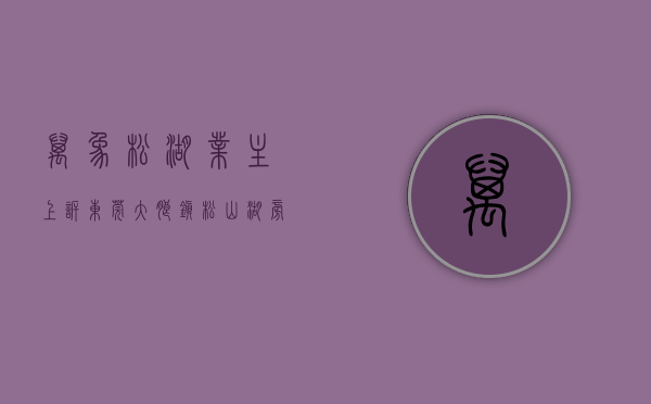 万象松湖业主上诉（东莞大朗镇松山湖旁小产权《松湖万象城》强势来袭！）