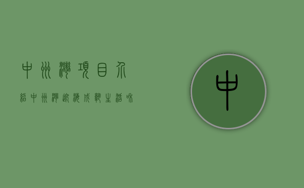 中洲湾项目介绍（中洲湾迎海，成熟生活和城市未来，这里同时拥有）