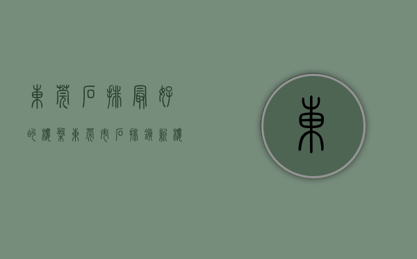 东莞石排最好的楼盘(东莞市石排镇新楼盘) 东莞石排最好的楼盘(东莞市石排镇新楼盘)