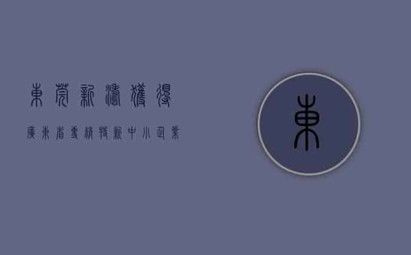 东莞新涛获得广东省“专精特新中小企业”认定！