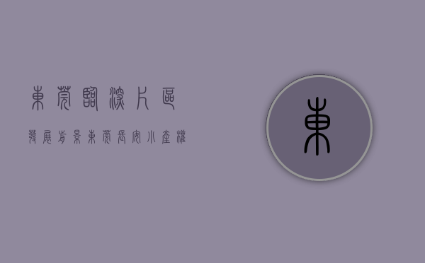 东莞临深片区发展前景（东莞长安小产权房《临深壹号》，与深圳一桥之隔，4680元平起，万达广场商圈）