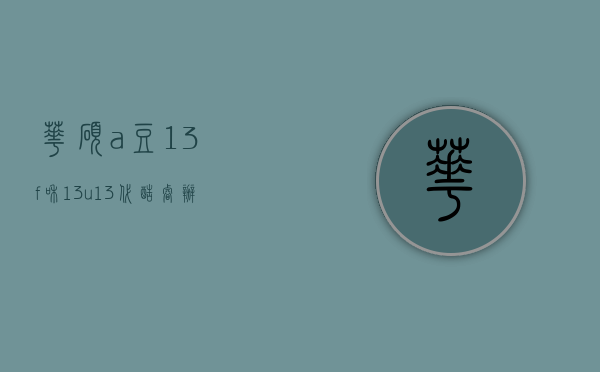 华硕a豆13f和13u（13代酷睿办公本哪家性价比高？一文读懂华硕a豆与联想小新差别）