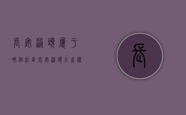 长安涌头属于哪个社区（长安涌头小产权房《满金华府》4栋小区燃气-花园-车位齐全）