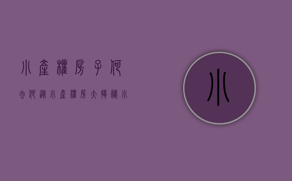 小产权房子何去何从（小产权房大揭秘）(小产权房最终的去向)