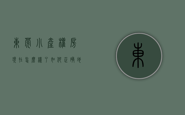 东莞小产权房现在怎么样了（如何正确地对待东莞小产权房？）(东莞小产权房价2021最新价格走势)